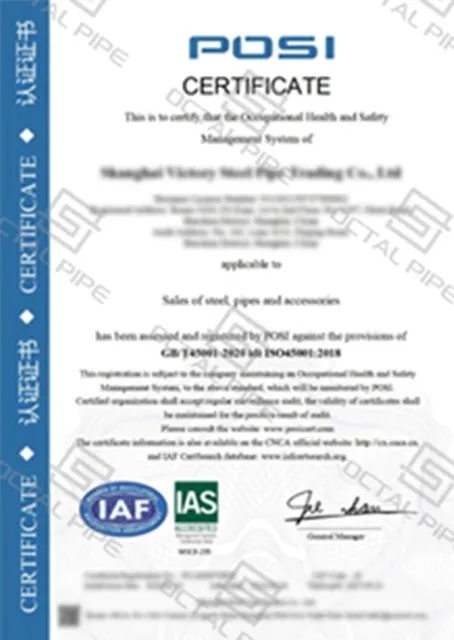 CE Certificate.jpg
